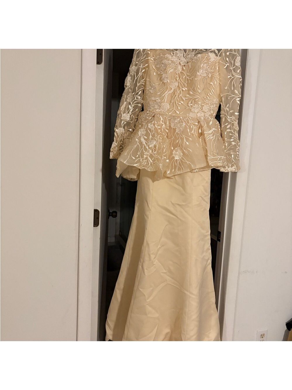 Formal Champagne Peplum Style Evening Gown for Weddings & Parties -  size 10 - Picture 5 of 6